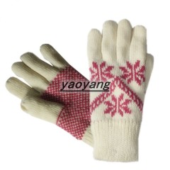fashion pattern and high quality ladies popular warm gloves