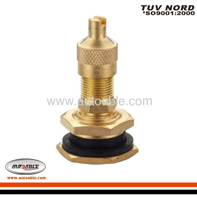 Tubeless Metal Clamp-in Valves for Truck and Bus