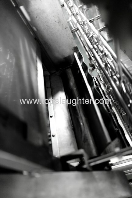 slaughter house equipment feet unloading