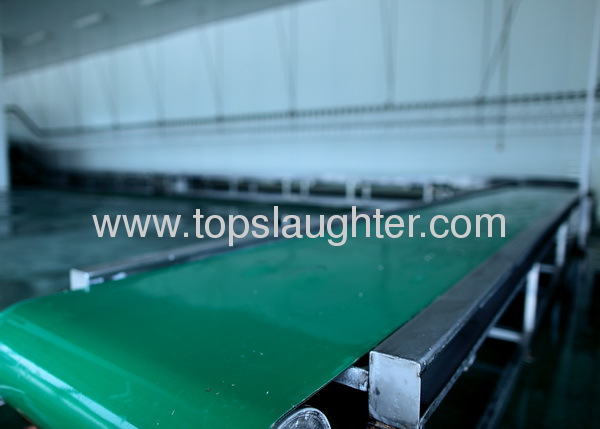 Poultry slaughter processing line