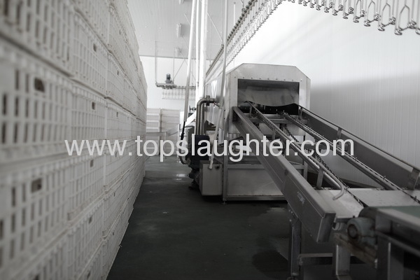 Poultry slaughter processing line