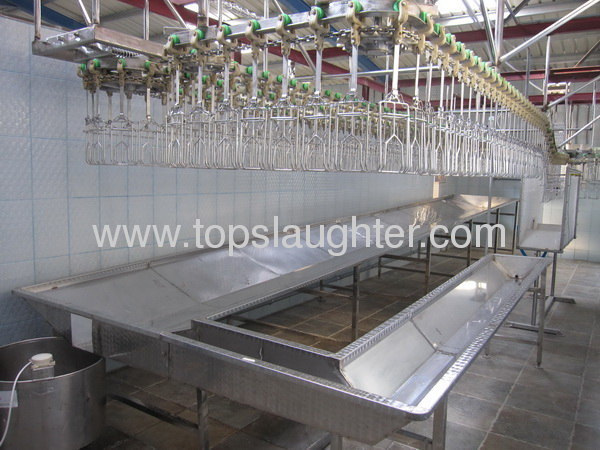Poultry slaughtering and bleeding line