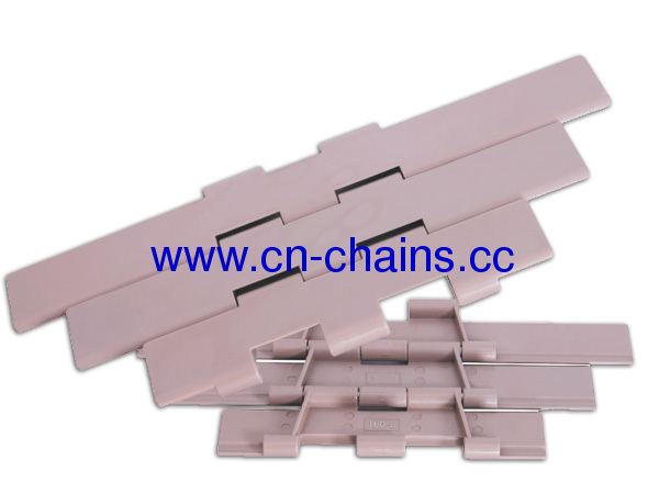 Table top double hinge plastic conveyor chains (RW821-K750)