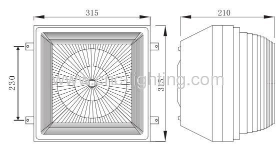 Surface Mounted LVD Canopy Light