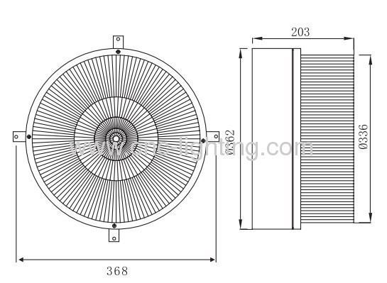 Surface Mounted Induction Canopy light