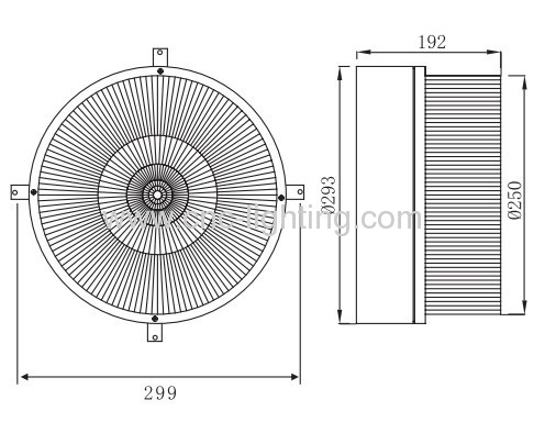 Surface Mounted Induction Canopy light