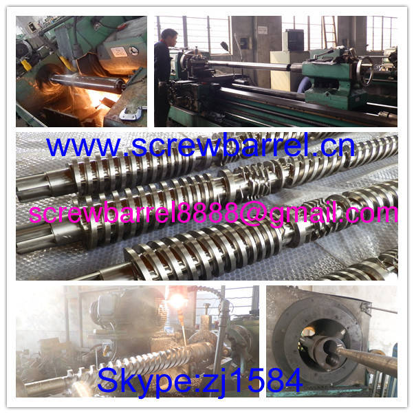 Parallel twin double screw and cylinder