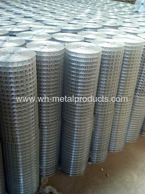 galvanized Welded Wire Mesh