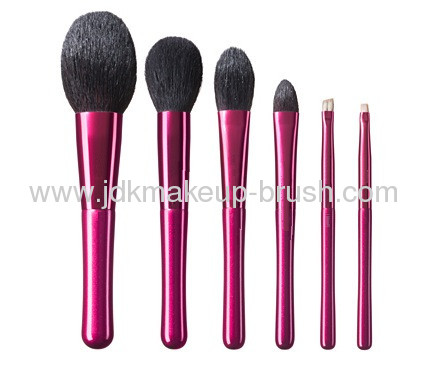  6 PCS Fashionable Makeup Brush Set