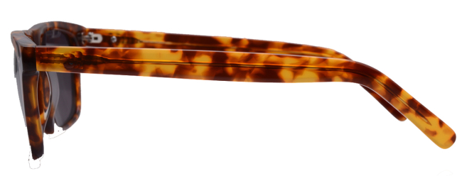 CNL Glasses-Italian acetate wayfarer sunglasee(tortoise)