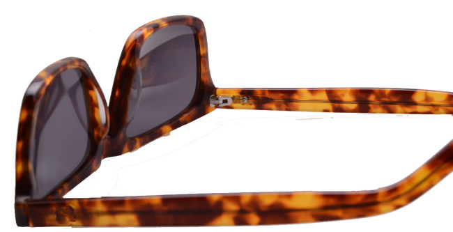 CNL Glasses-Italian acetate wayfarer sunglasee(tortoise)