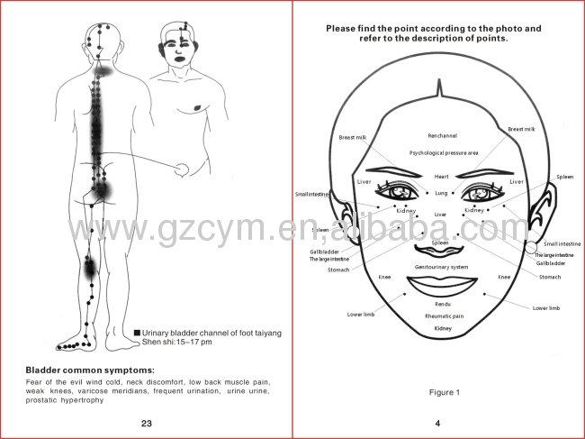 The amazing accupuncture meredian enerygy mssage pen 