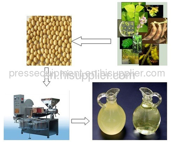 Best sell teaseed screw oil press equipment
