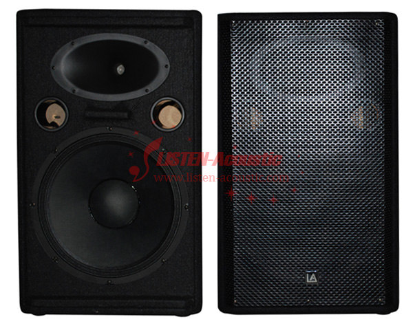 China Pro Audio Wooden Speaker Box WE-15