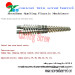 conical twin barrel screw