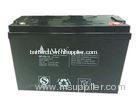 Valve Regulated Lead Acid Battery, NP100-12 100 AH 12v Sealed