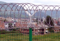 Razor barbed fence,razor fence,barbed fence,wire mesh fence,protection fence,railway fence,iron fence,low carbon,fences