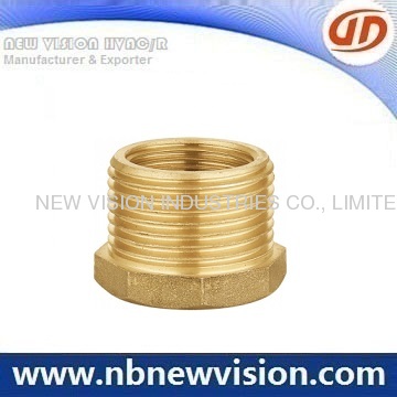 Brass Hex Male Plug