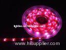 High efficiency custom durable Energy Saving SMD 3528 LED strip 120leds with 120 degrees Beam Angle