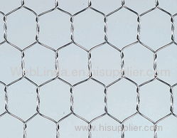 Straight twist hexagonal wire mesh