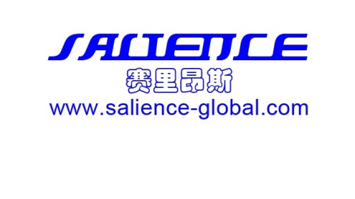 Suqian salience Gas Spring Co., Ltd.