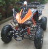 electric ATV 4000 D1