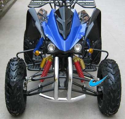 Electric ATV 4000 D2