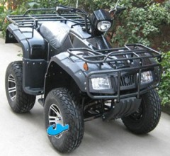 Electric ATV 4000 D3