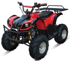 Electric ATV 4000 D5