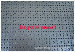 Perforated Metal Mesh/Perforated Metal