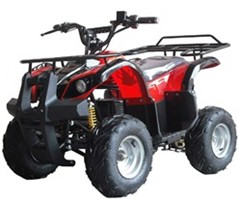 ELECTRIC ATV TKE 500