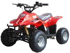 ELECTRIC ATV TKE 500A