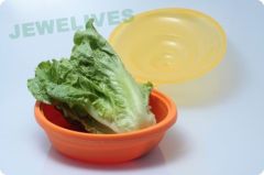 Portable Unbreakable Silicone Folding Bowl with Cover