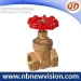 Brass Gate Valve for Plumbing