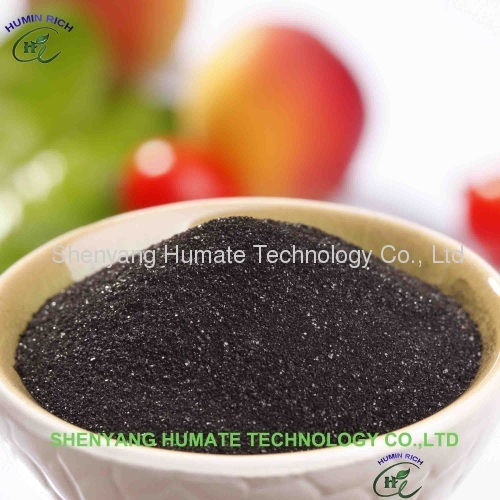 seaweed extract; seaweed extract powder