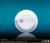 Independent Ionization Smoke Detector Sfl-128