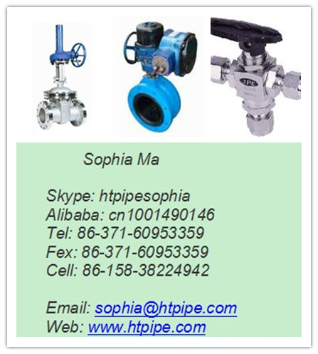 SS316Ti ball valve gate valve