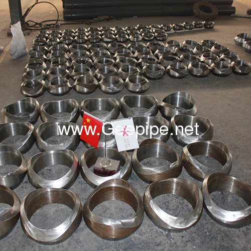 China bw forged pipe fitting