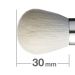 Round Shape Blush Brush