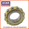 Hot selling bearings Cylindrical Roller Bearing NF304