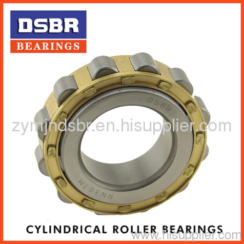 Hot selling bearings Cylindrical Roller Bearing NF304