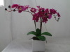 artificial potted orchid/artificial potted flower