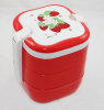 plastic picnic lunch box with handle
