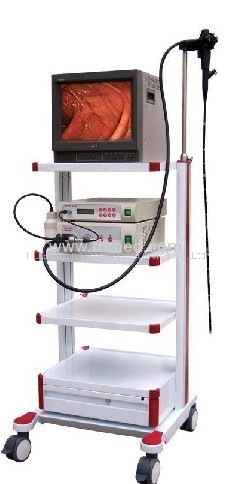 Electronic Endoscope Image System