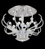 special design ceiling Light