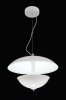 Special design modern pendant light with LED for home and hotel