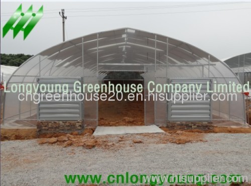 Economical Tunnel Greenhouse greenhouse