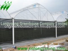 Saw Tooth Greenhouse greenhouse