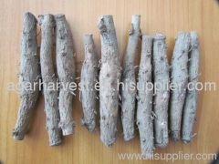 Teak Rhizome - Big - Teak seeds, Black wood, Siamese Rosewood, Rosewood - Agarharvest