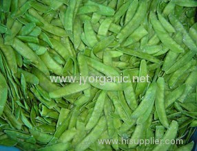 Frozensnow peas with haccp